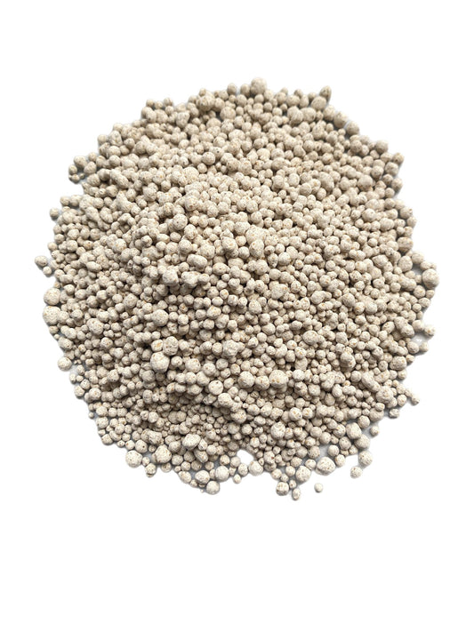 Grain de Mil (800g) – L'Authenticité dans votre Assiette