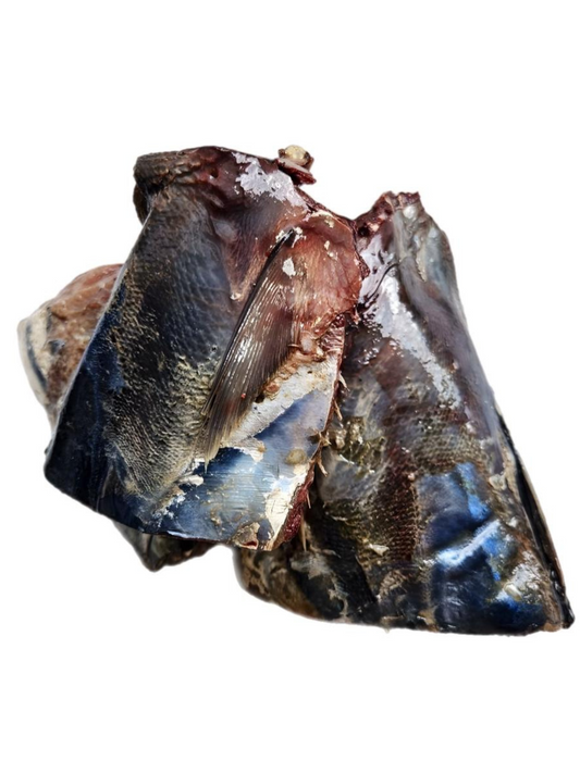 Darnes de thon Côte d'Ivoire (900g)